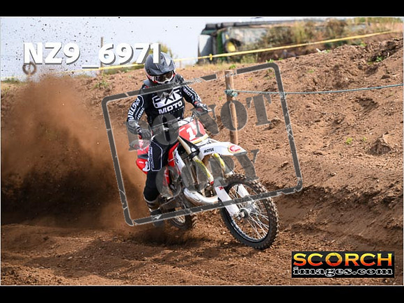 Experts-076