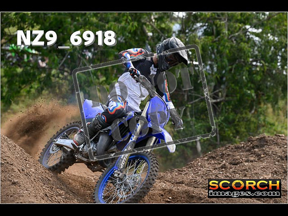 Experts-316