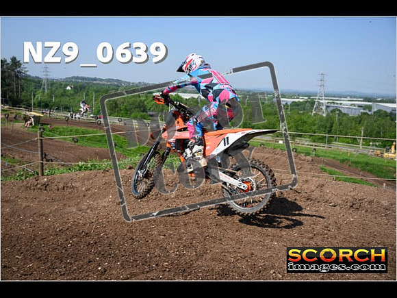 Experts-048