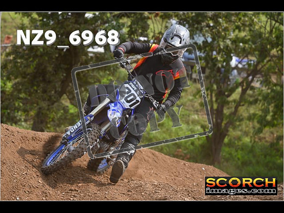 Experts-366