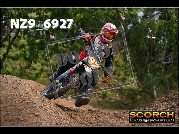 Experts-325