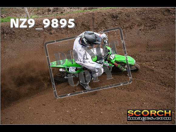 Experts-115
