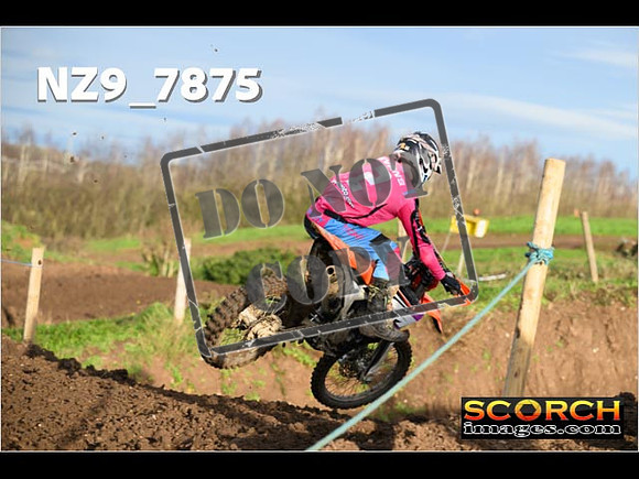 Experts-091