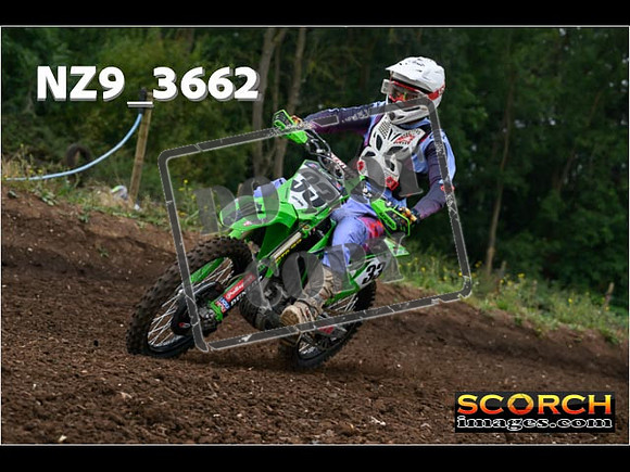 IntersGreenOrange-028