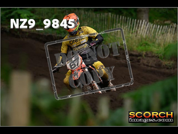 MX1-386