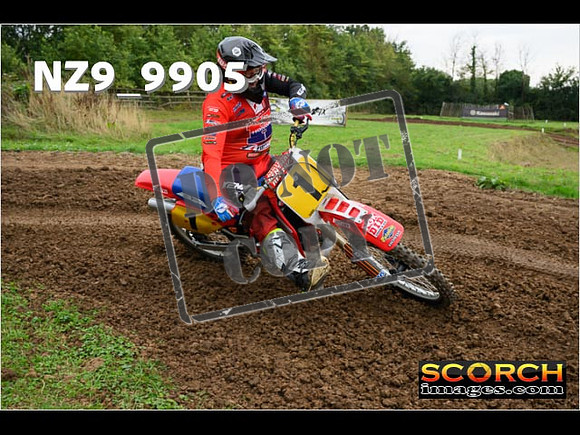 Experts-130