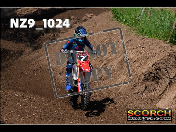 Experts-102