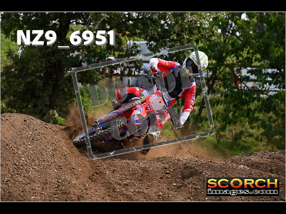 Experts-349