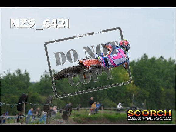 Experts-233