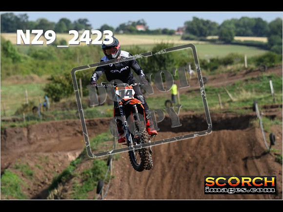 Experts-080
