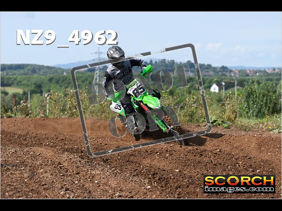 Experts-042