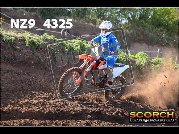 Experts-059