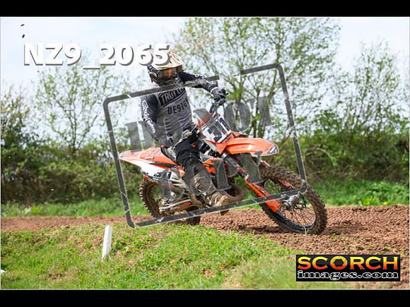 Experts-081