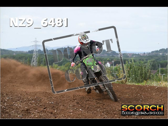 Experts-194