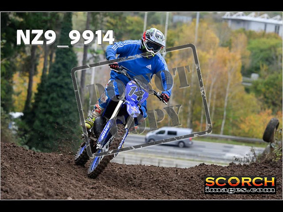 IntersBlue-244