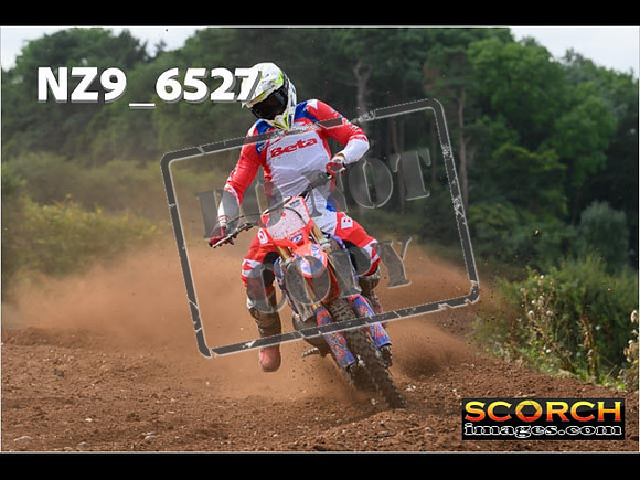 Experts-236