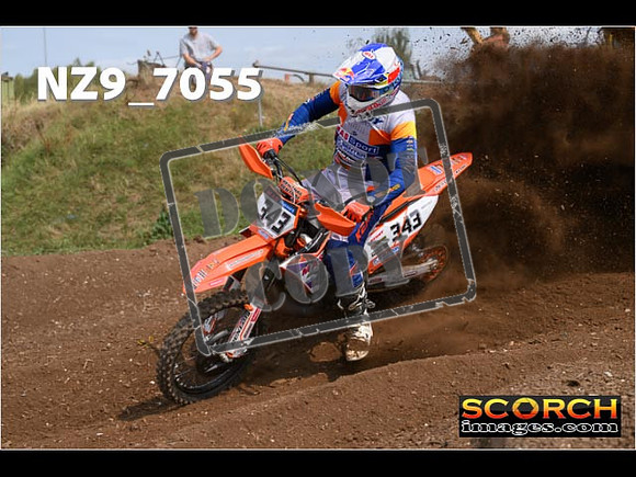 Experts-451