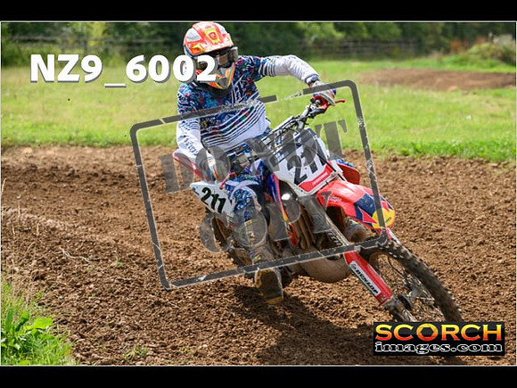 Experts-088