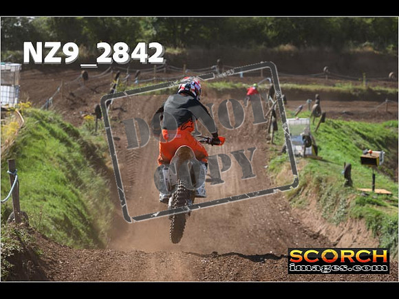 Experts-139