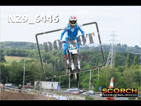 Experts-161