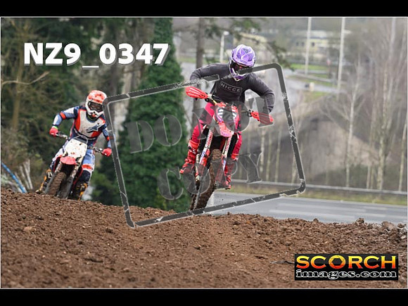 IntersGreenOrange-062
