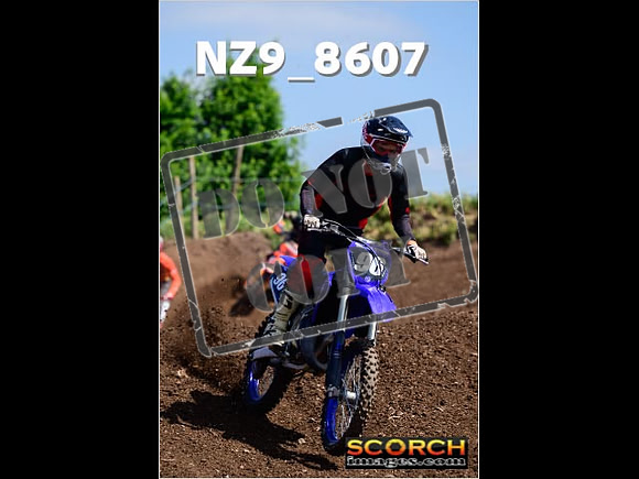 IntersGreenOrange-273