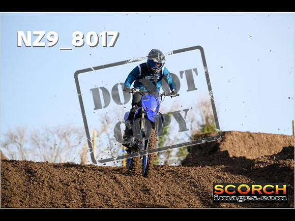 InterBlueGreen-052
