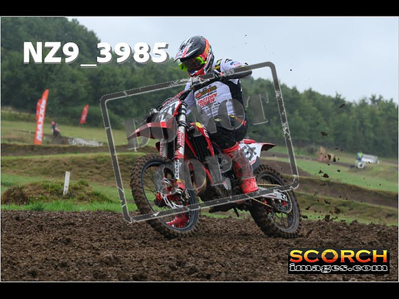 Experts-061