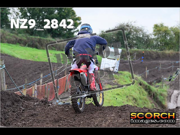 Experts-061