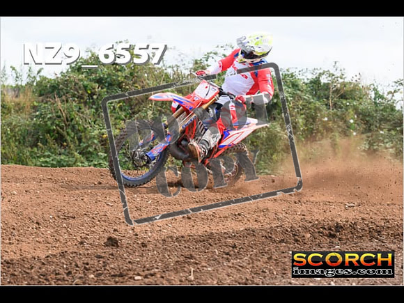 Experts-266