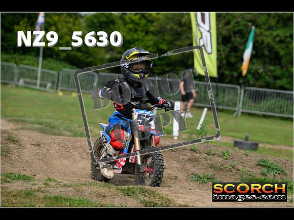 PeeWee Track-011