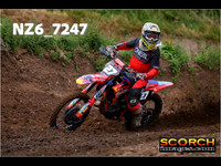 Experts-019