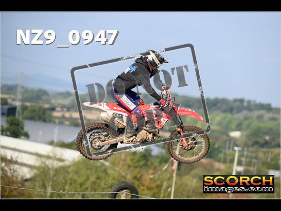 Experts-155