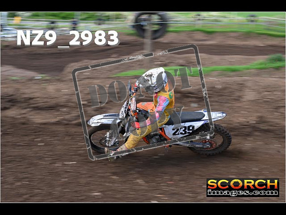 Inters-230