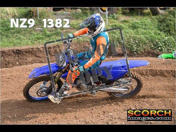 Experts-087