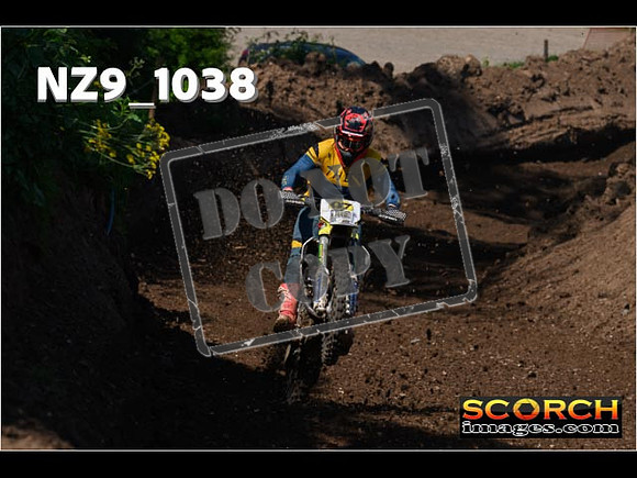 Experts-116