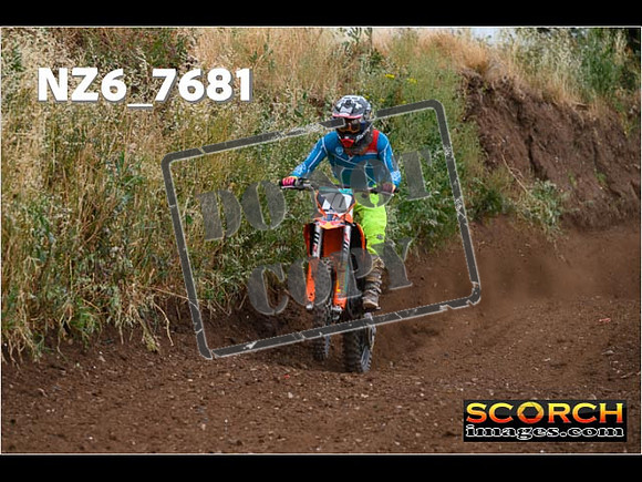 Experts-161
