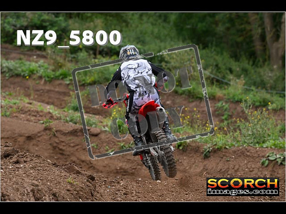 Experts-267