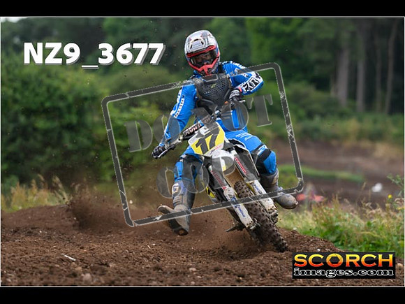 Experts-085