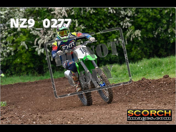 IntersGreen-226