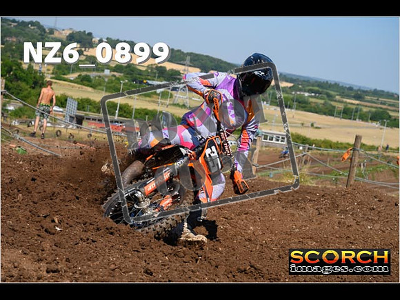 Experts-059