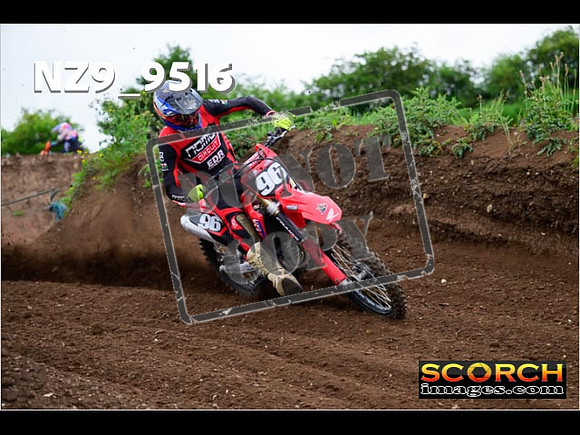 Experts-115