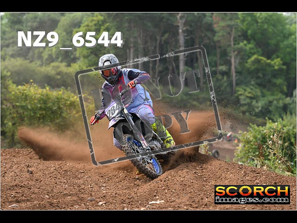 Experts-253