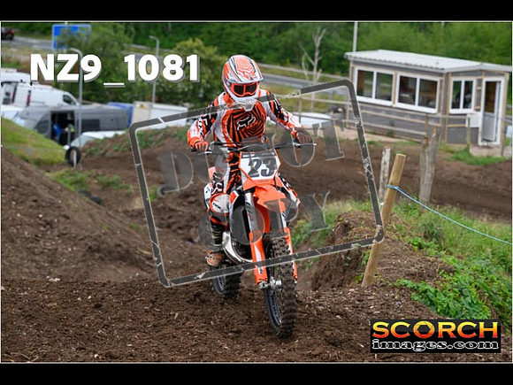 IntersGreen-096