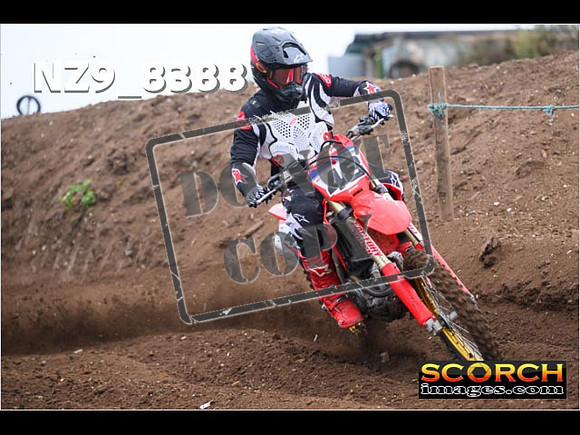 Experts-080