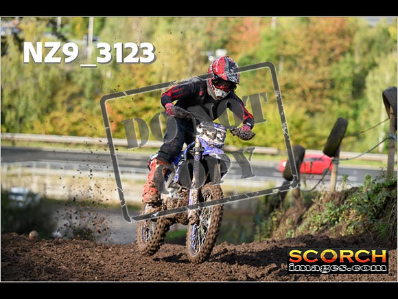 Experts-117