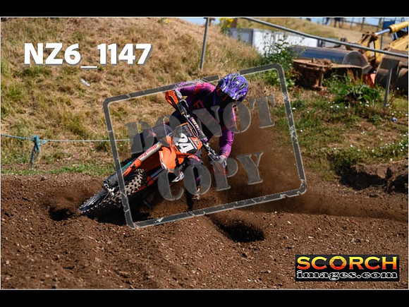 Experts-116