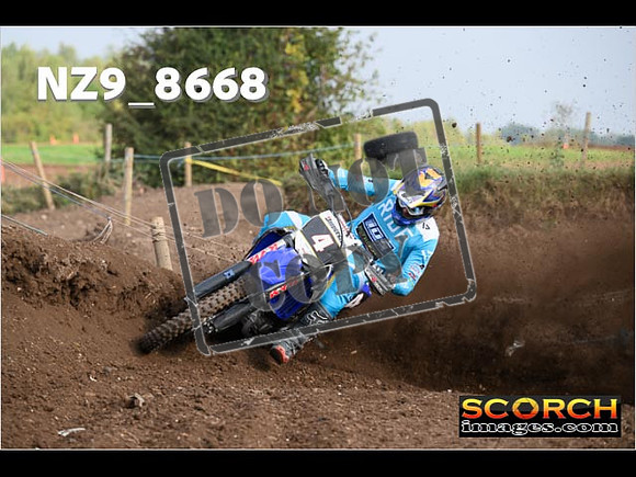 Experts-074