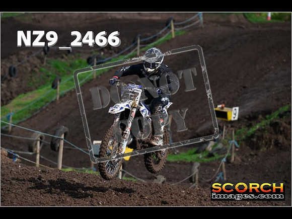 Experts-059