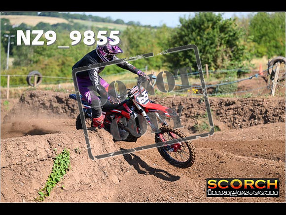 Experts-065